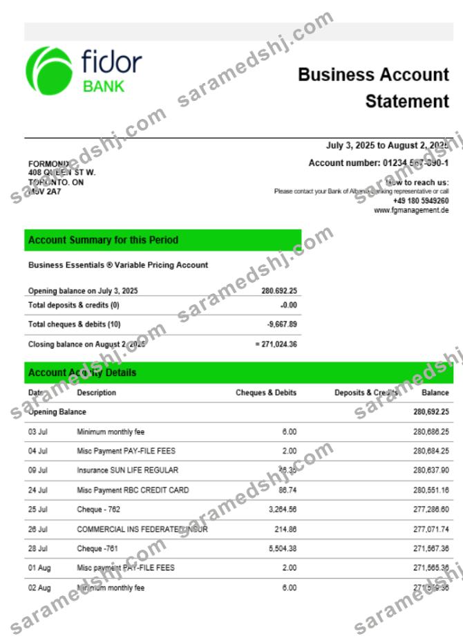Fidor bank business firm account statement Word snd PDF format